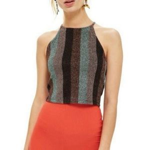 Topshop Metallic Stripe Crop Tank Top, sz 8